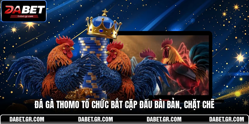 DABET ⭐️ Link Trang Chủ DABET Mới Nhất | Đăng Ký Tặng 188K Đá gà Thomo tổ chức bắt cặp đấu bài bản, chặt chẽ